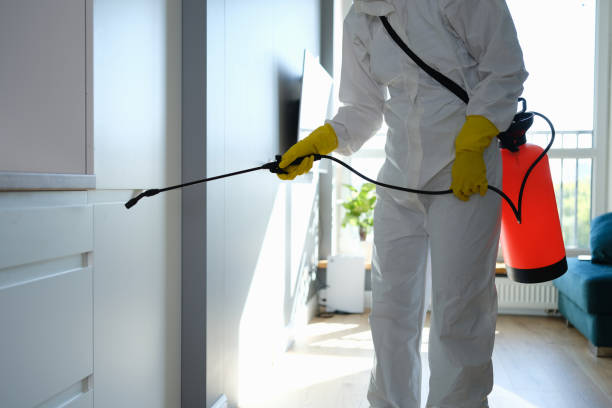 Best Industrial Mold Remediation  in Vley, AL